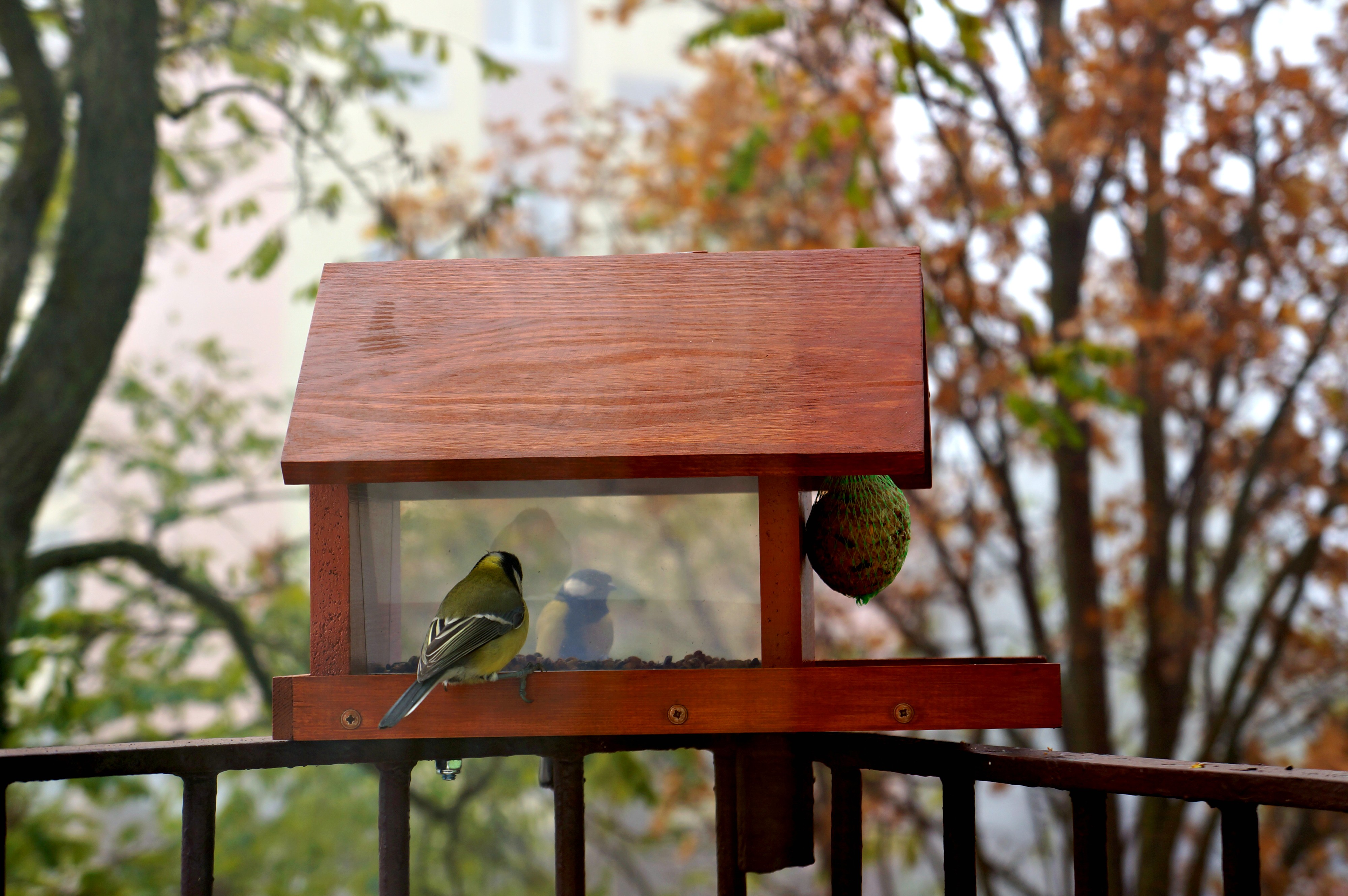 karmnik dla ptaków DIY